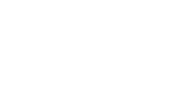 aputure